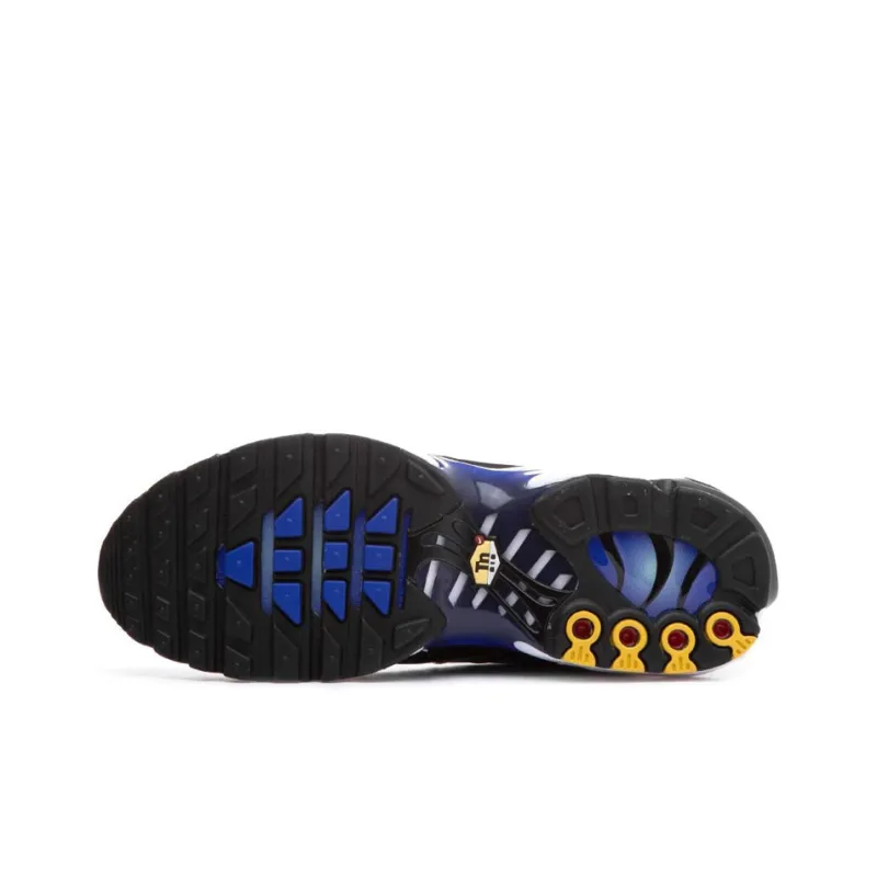 Nike Air Max Plus TN black blue