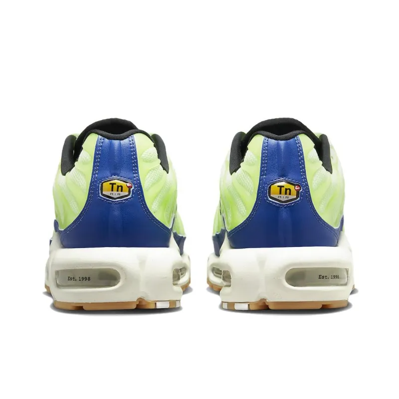 Nike Air Max Plus TN Green Blue DZ0480-300