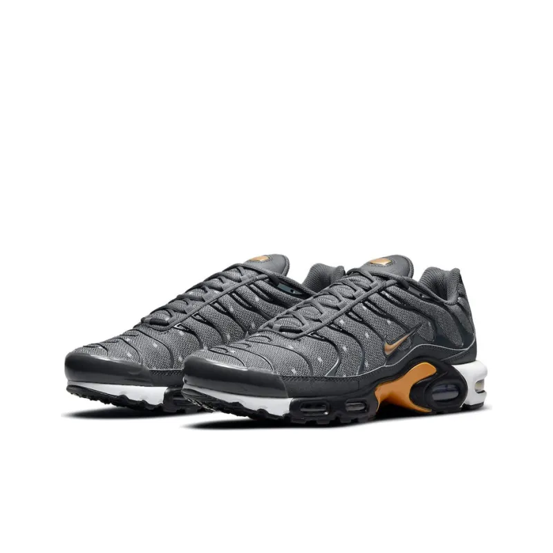 Nike Air Max Plus TN Grey Gold DM7570-002