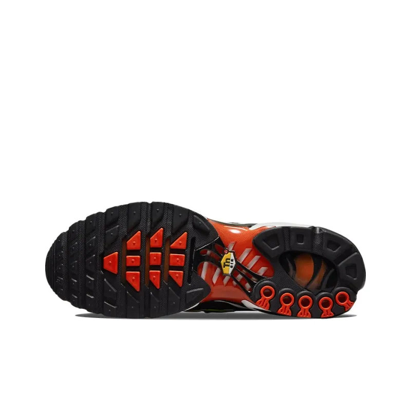 Nike Air Max Plus TN Orange DR8581-800