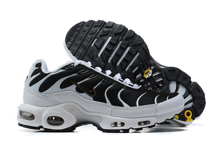 Nike Air Max Plus TN metallic pewter