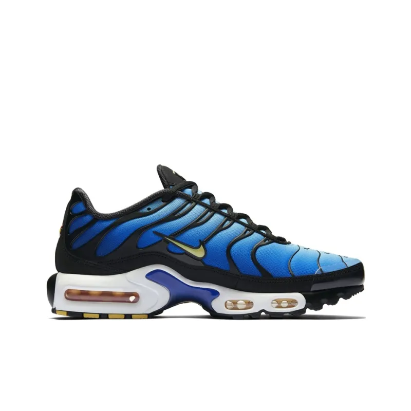 Nike Air Max Plus TN black blue