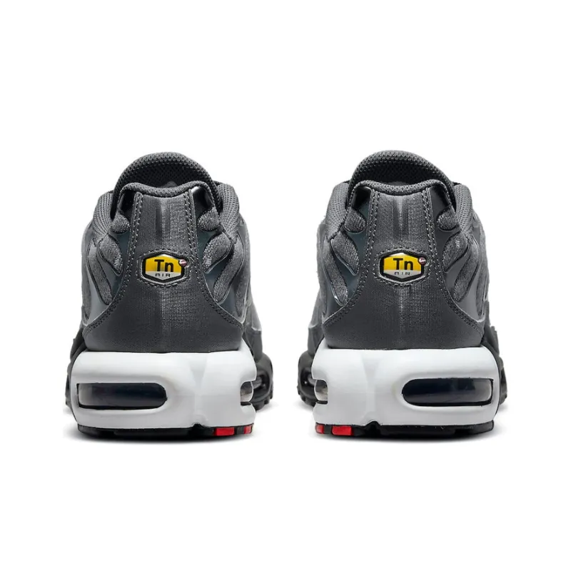 Nike Air Max Plus TN Grey Gold DM7570-002