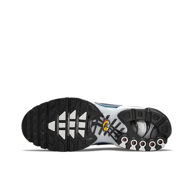 Nike Air Max Plus TN Blue DO6384-400