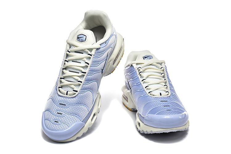 Nike Air Max Plus TN daybreak