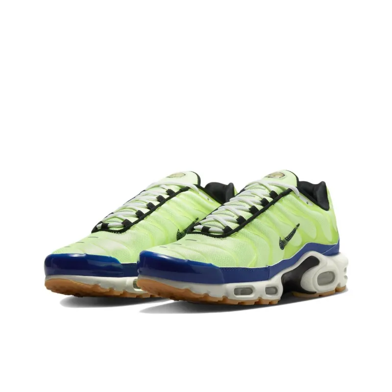 Nike Air Max Plus TN Green Blue DZ0480-300