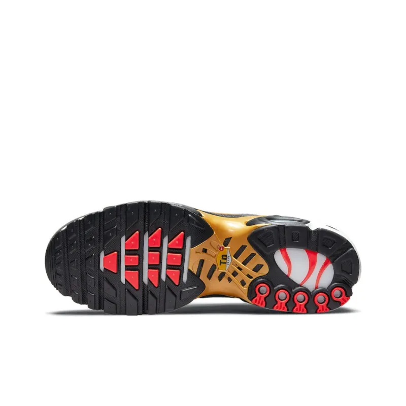 Nike Air Max Plus TN Grey Gold DM7570-002