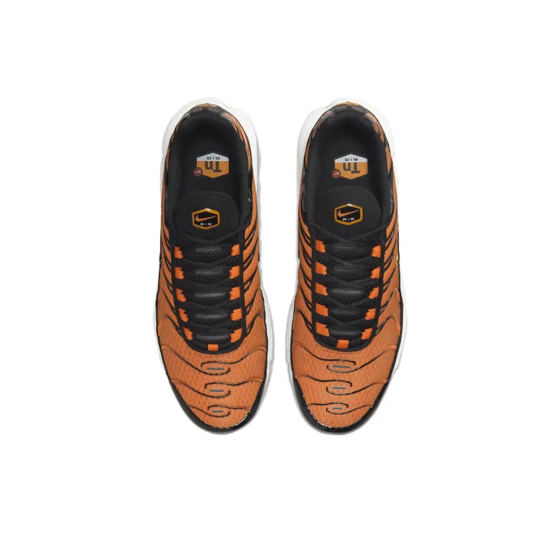 Nike Air Max Plus TN Black Orange DM0032-80