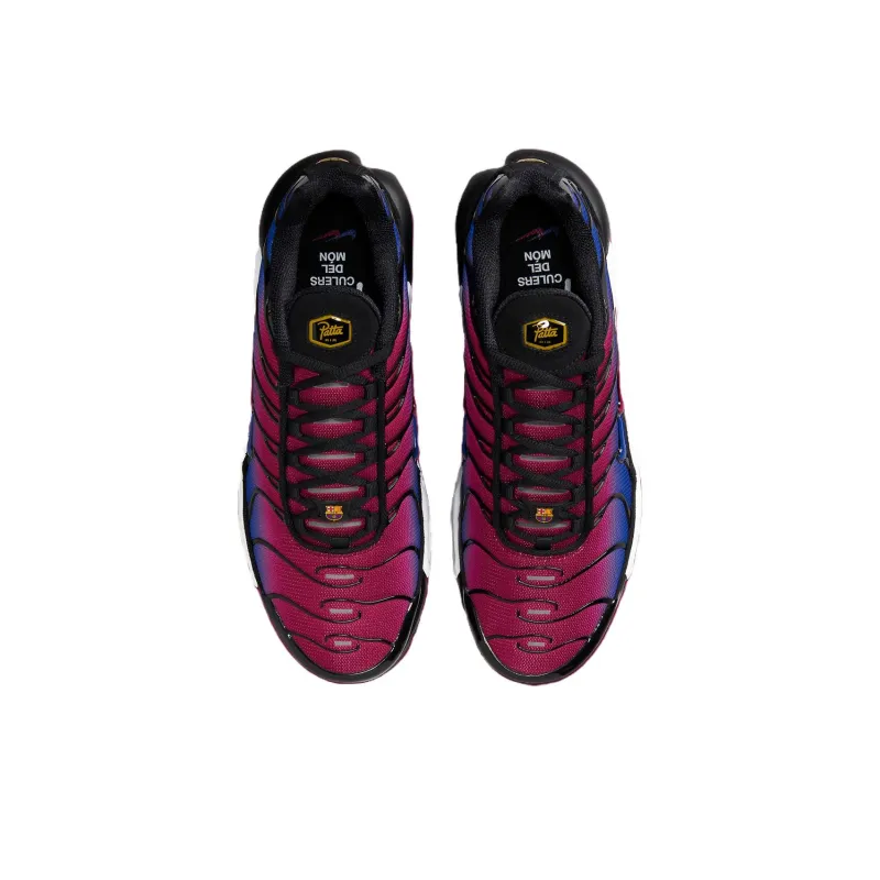 Nike Air Max Plus TN Grey Gold DM7570-002