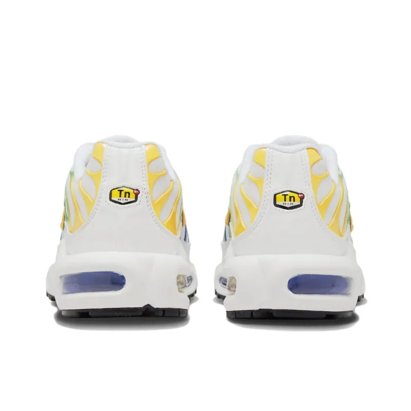 Nike Air Max Plus TN White DZ3671-101