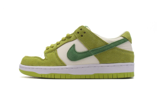 Nike SB Dunk Low Pro DM0807-300