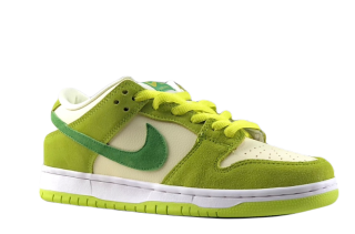 Nike SB Dunk Low DM0807 green