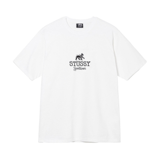Tričko Stussy sportswear white