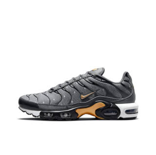 Nike Air Max Plus TN Grey Gold DM7570-002
