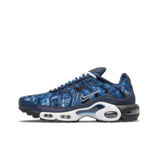 Nike Air Max Plus TN Blue DO6384-400